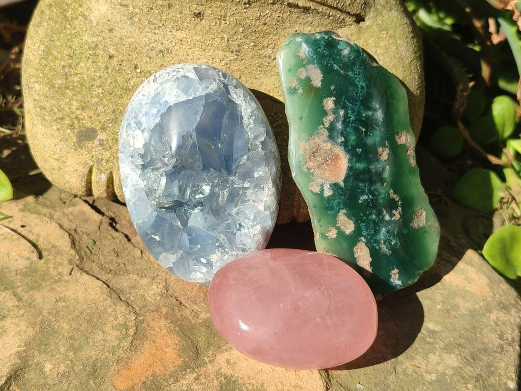 Polished and Natural Mix Set of 9 Minerals, Crystals and Fossils in a Wooden Display Box x 1 From Southern Africa