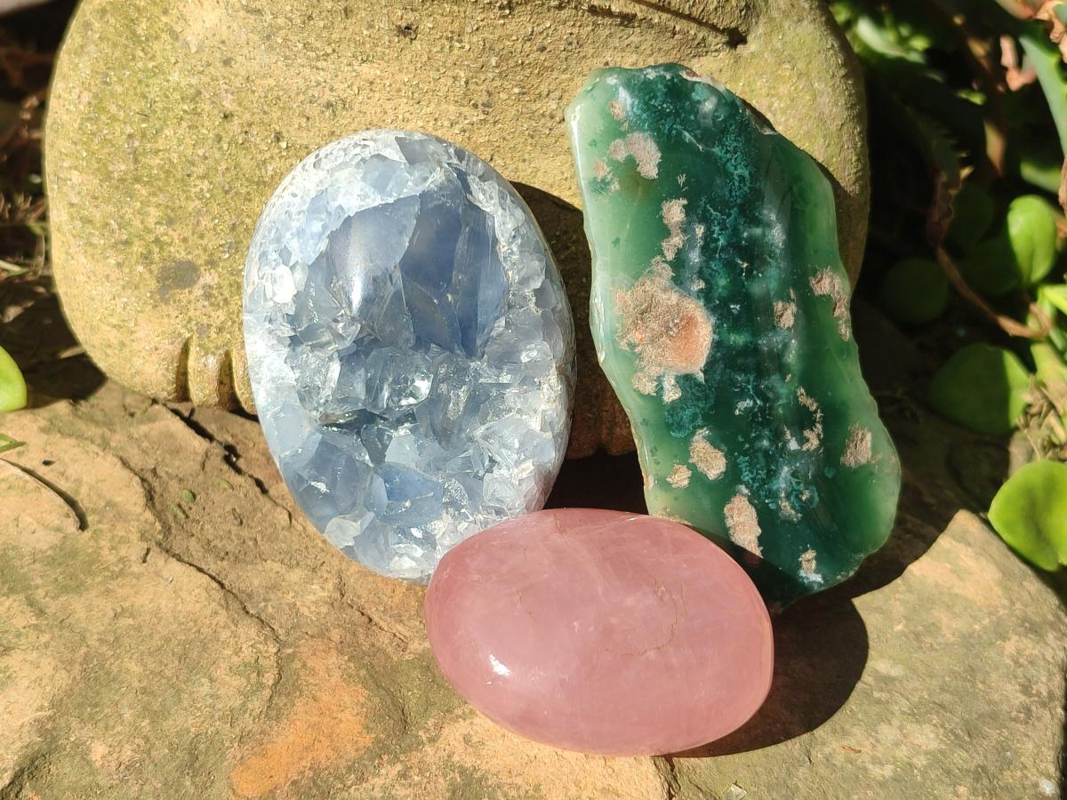Polished and Natural Mix Set of 9 Minerals, Crystals and Fossils in a Wooden Display Box x 1 From Southern Africa