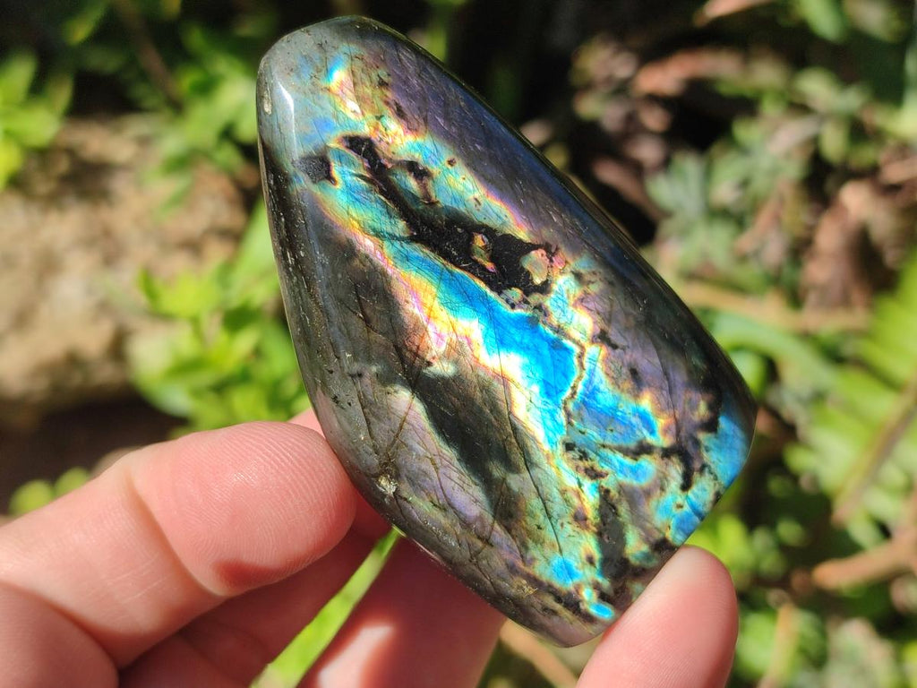 Polished and Natural Mix Set of 9 Minerals, Crystals and Fossils in a Wooden Display Box x 1 From Southern Africa