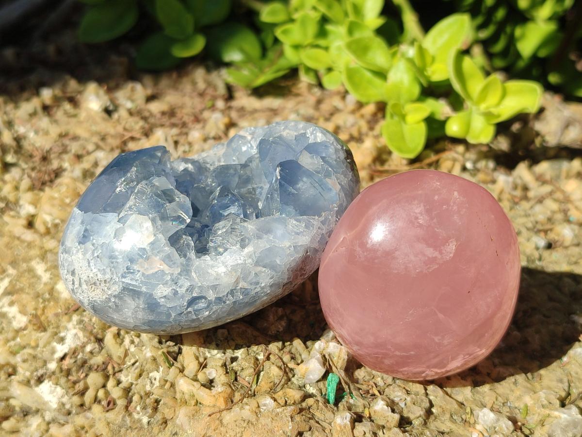 Polished and Natural Mix Set of 9 Minerals, Crystals and Fossils in a Wooden Display Box x 1 From Southern Africa