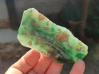 Polished and Natural Mix Set of 9 Minerals, Crystals and Fossils in a Wooden Display Box x 1 From Southern Africa