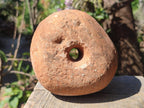 Hand Made Prehistoric African Bored Stone (!Kwe) Iron Age Artifact x 1 From Lydenburg, South Africa