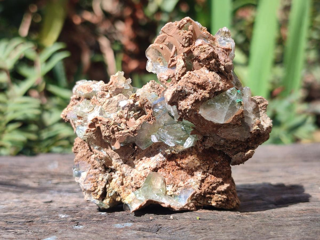 Natural Mixed Set of 6 African Mineral Specimens in a Wooden Display Box x 1 From Southern Africa
