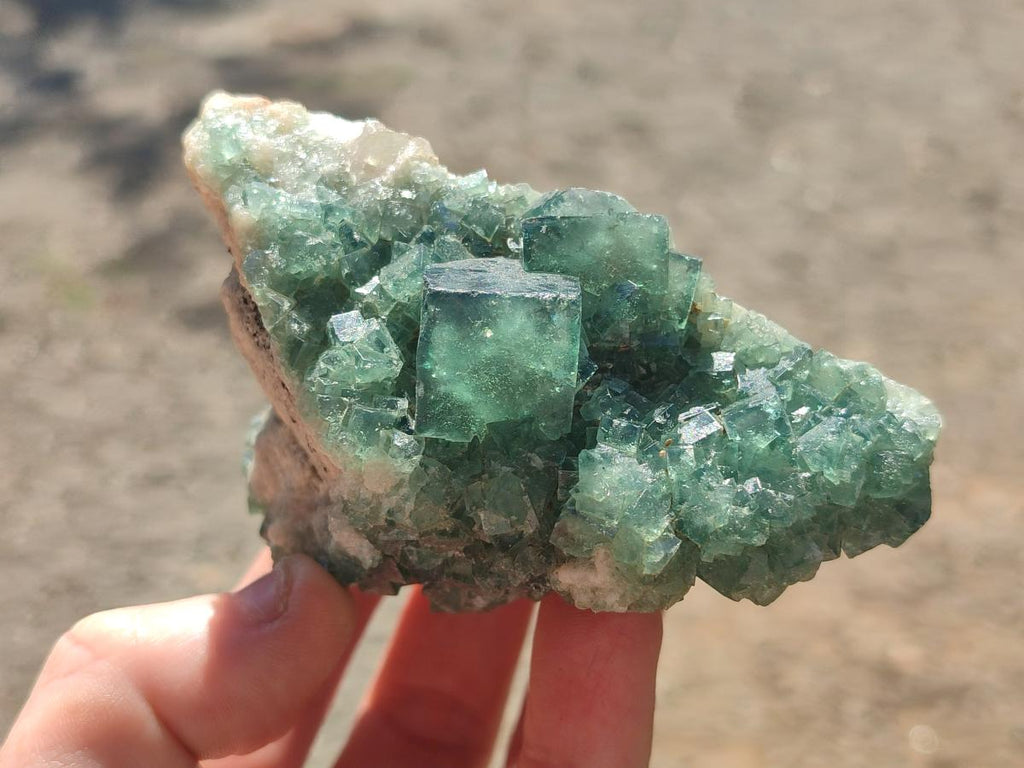 Natural Mixed Set of 6 African Mineral Specimens in a Wooden Display Box x 1 From Southern Africa