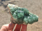 Natural Mixed Set of 6 African Mineral Specimens in a Wooden Display Box x 1 From Southern Africa