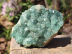 Natural Mixed Set of 6 African Mineral Specimens in a Wooden Display Box x 1 From Southern Africa