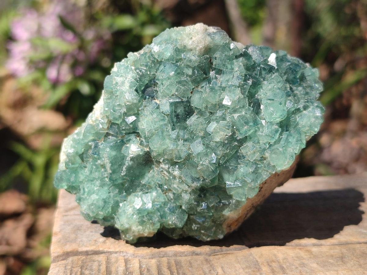 Natural Mixed Set of 6 African Mineral Specimens in a Wooden Display Box x 1 From Southern Africa