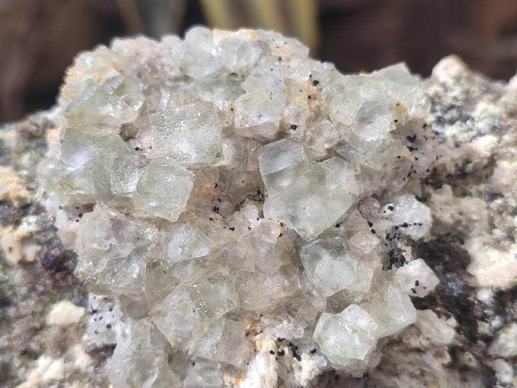 Natural Cubic Fluorite Island on a Feldspar Black Tourmaline and Hyalite Matrix x 1 From Erongo, Namibia