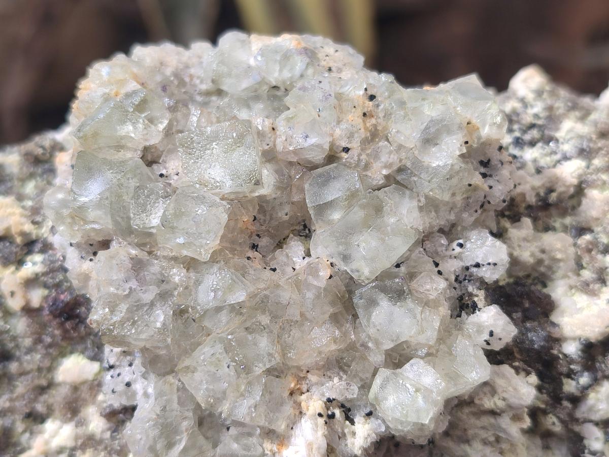Natural Cubic Fluorite Island on a Feldspar Black Tourmaline and Hyalite Matrix x 1 From Erongo, Namibia
