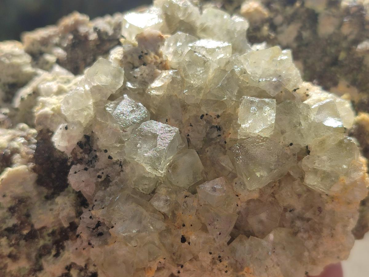 Natural Cubic Fluorite Island on a Feldspar Black Tourmaline and Hyalite Matrix x 1 From Erongo, Namibia