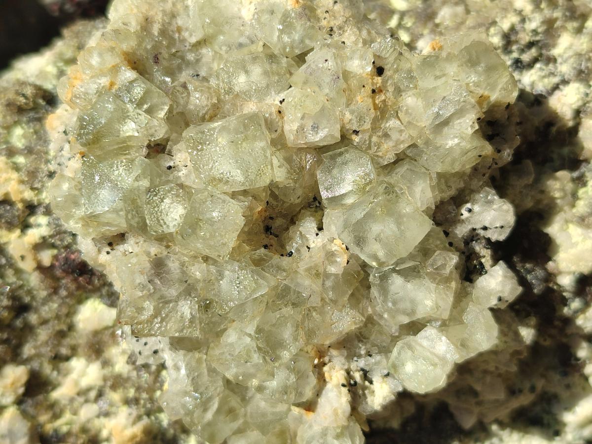 Natural Cubic Fluorite Island on a Feldspar Black Tourmaline and Hyalite Matrix x 1 From Erongo, Namibia
