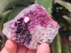 Natural Mixed Set of 6 African Mineral Specimens in a Wooden Display Box x 1 From Southern Africa