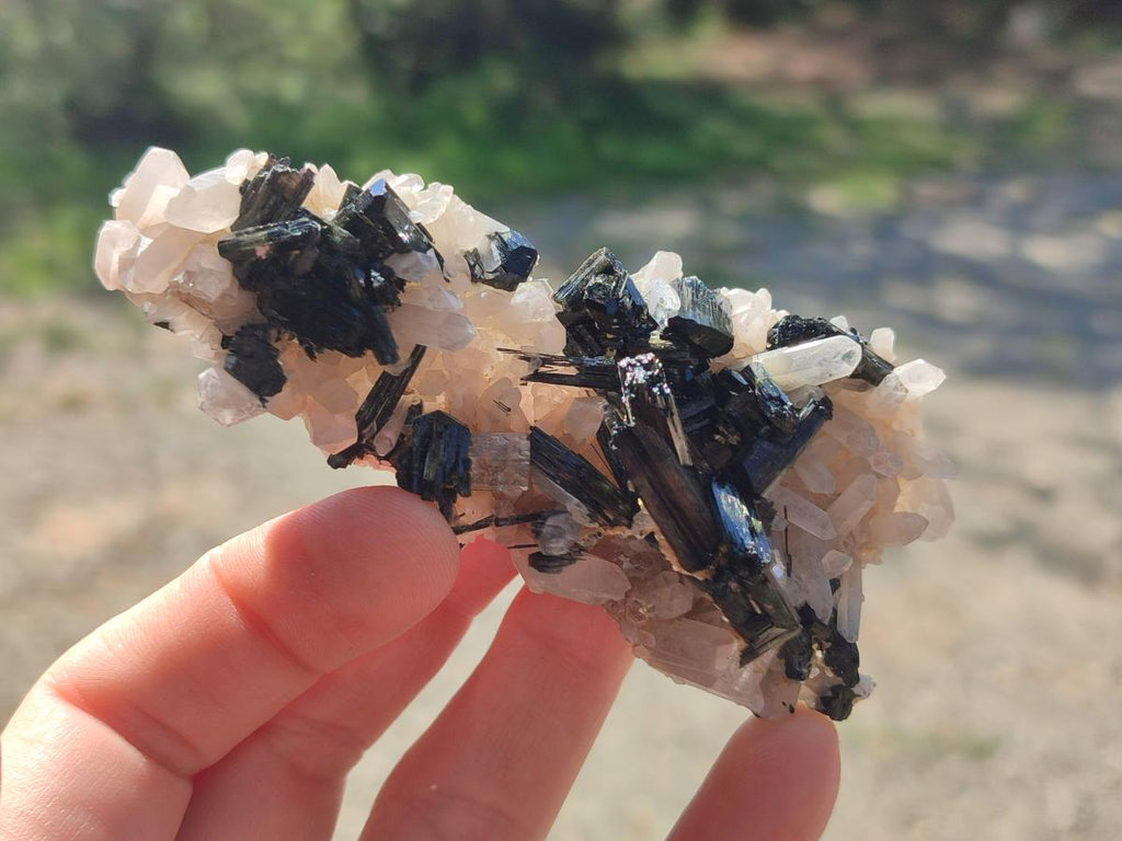 Natural Mixed Set of 6 African Mineral Specimens in a Wooden Display Box x 1 From Southern Africa