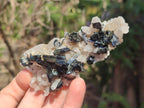 Natural Mixed Set of 6 African Mineral Specimens in a Wooden Display Box x 1 From Southern Africa