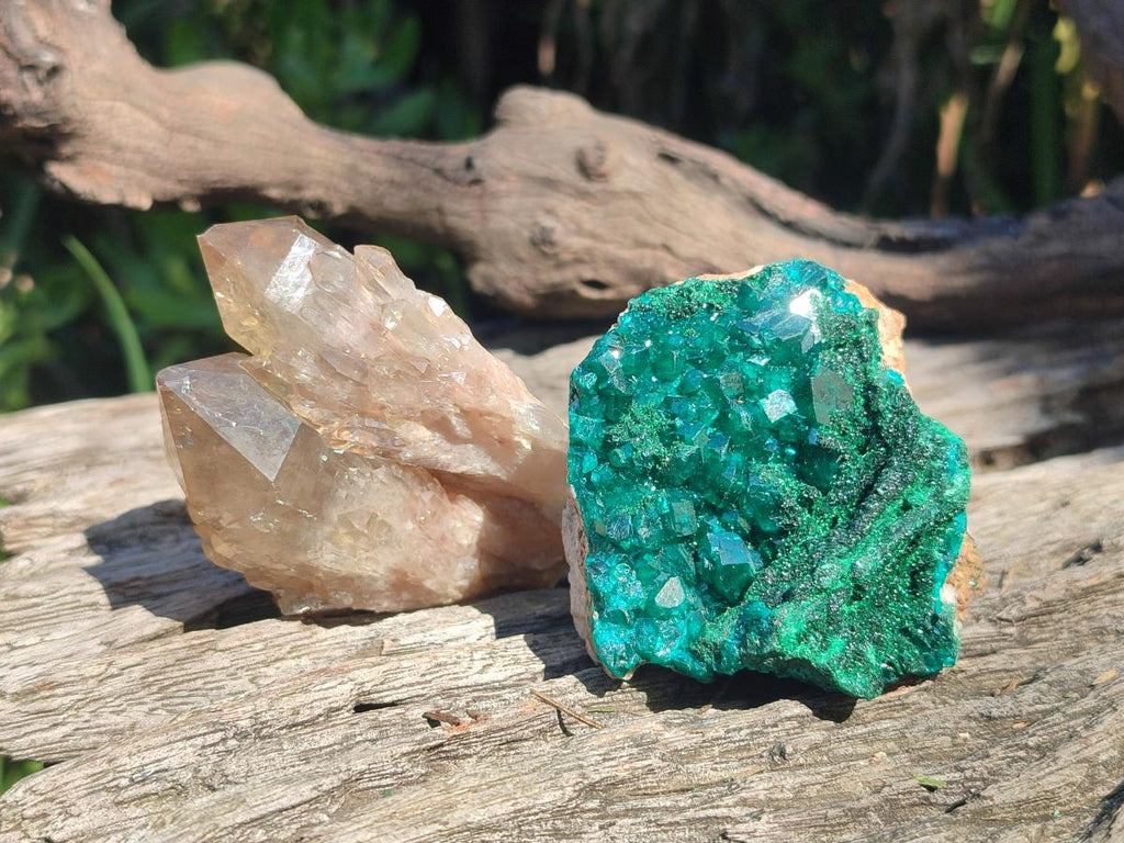 Natural Mixed Set of 6 African Mineral Specimens in a Wooden Display Box x 1 From Southern Africa
