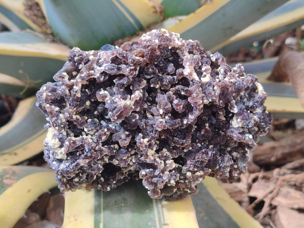 Natural Large Erongo Fluorite and Muscovite Floater Specimen x 1 From Erongo Mountain, Namibia