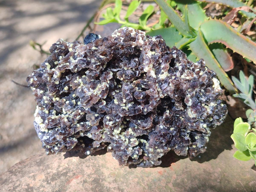 Natural Large Erongo Fluorite and Muscovite Floater Specimen x 1 From Erongo Mountain, Namibia