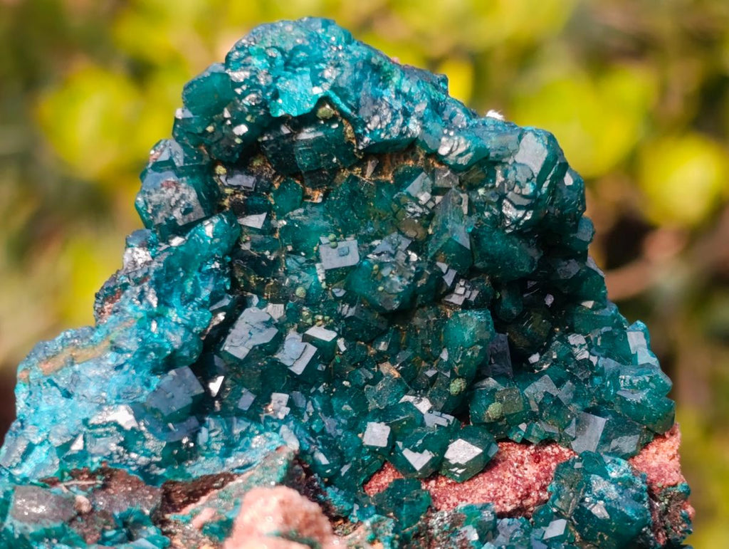 Natural Classic Standing Dioptase Specimen on a Dolomite Matrix x 1 From Mashamba East Mine, Congo