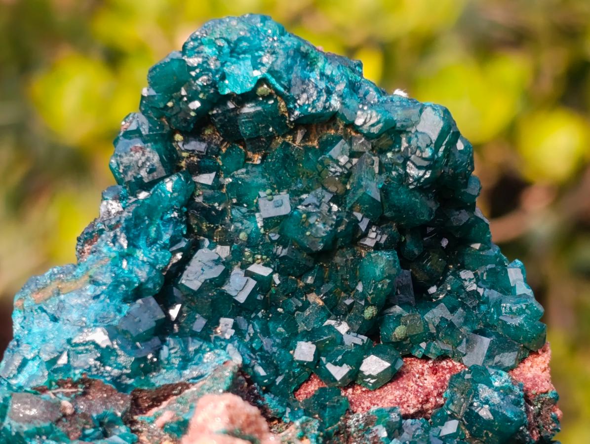 Natural Classic Standing Dioptase Specimen on a Dolomite Matrix x 1 From Mashamba East Mine, Congo