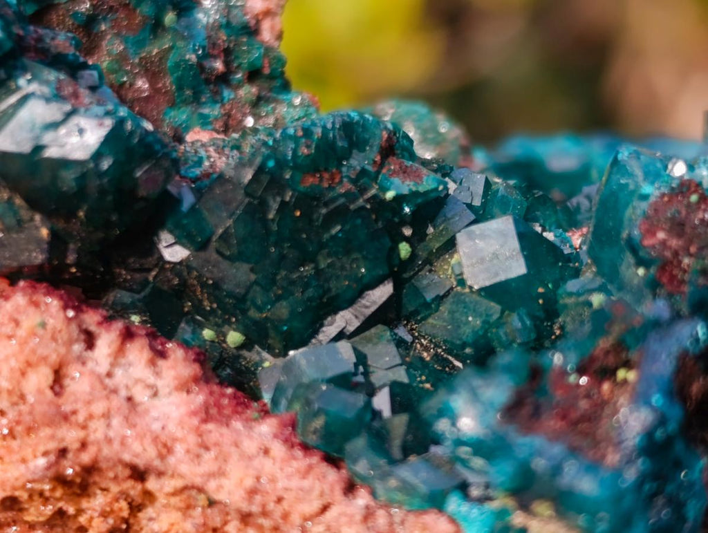 Natural Classic Standing Dioptase Specimen on a Dolomite Matrix x 1 From Mashamba East Mine, Congo