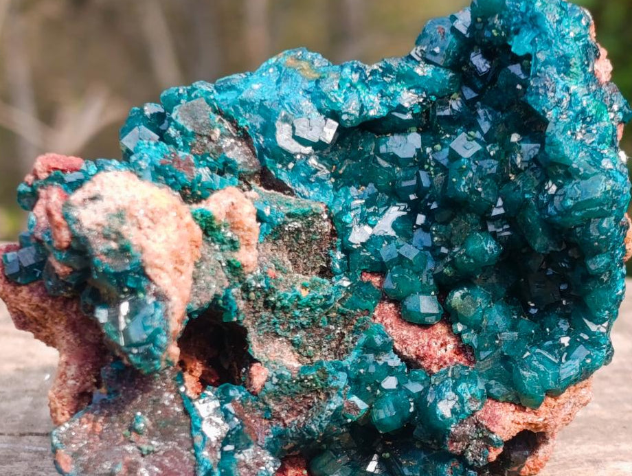Natural Classic Standing Dioptase Specimen on a Dolomite Matrix x 1 From Mashamba East Mine, Congo