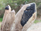 Natural Large Erongo Smokey Quartz Crystal Cluster x 1 From Erongo Mountain, Namibia