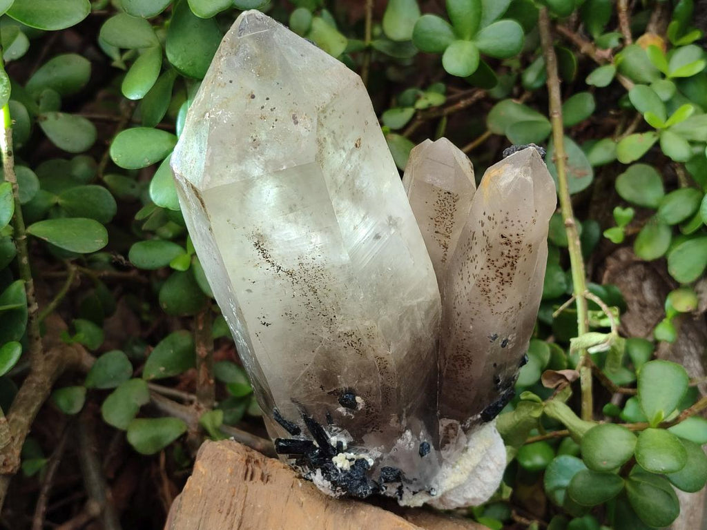Natural Large Erongo Smokey Quartz Crystal Cluster x 1 From Erongo Mountain, Namibia