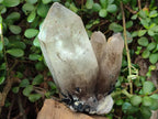 Natural Large Erongo Smokey Quartz Crystal Cluster x 1 From Erongo Mountain, Namibia