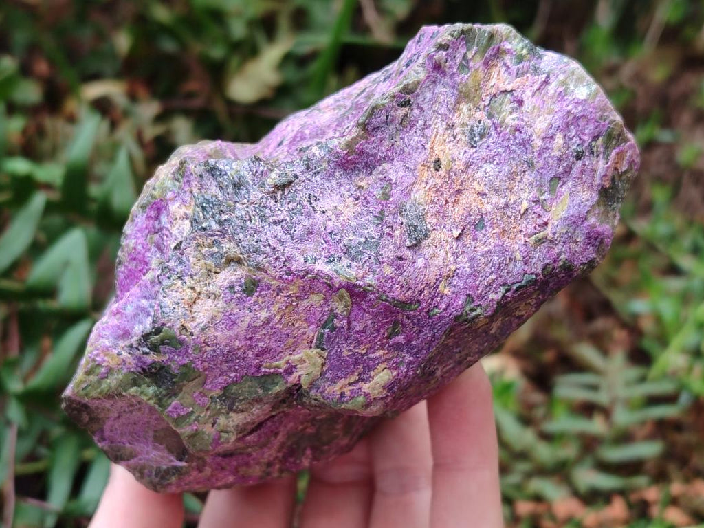 Natural Super Bright Purple and Green Rare Stichtite and Serpentine Specimen x 1 From Barberton, South Africa