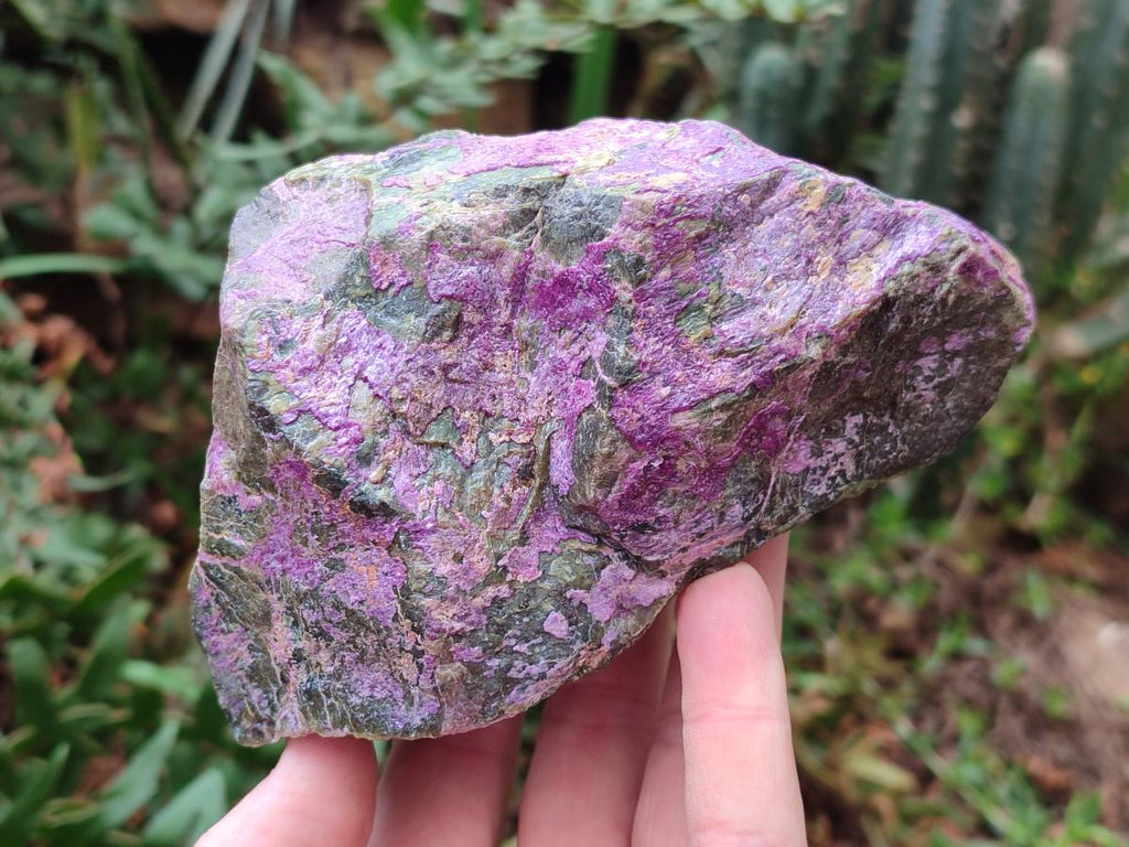 Natural Super Bright Purple and Green Rare Stichtite and Serpentine Specimen x 1 From Barberton, South Africa