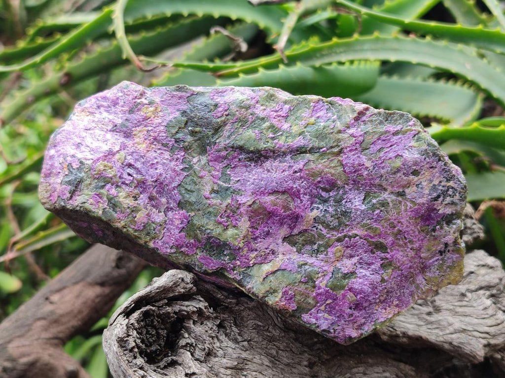 Natural Super Bright Purple and Green Rare Stichtite and Serpentine Specimen x 1 From Barberton, South Africa