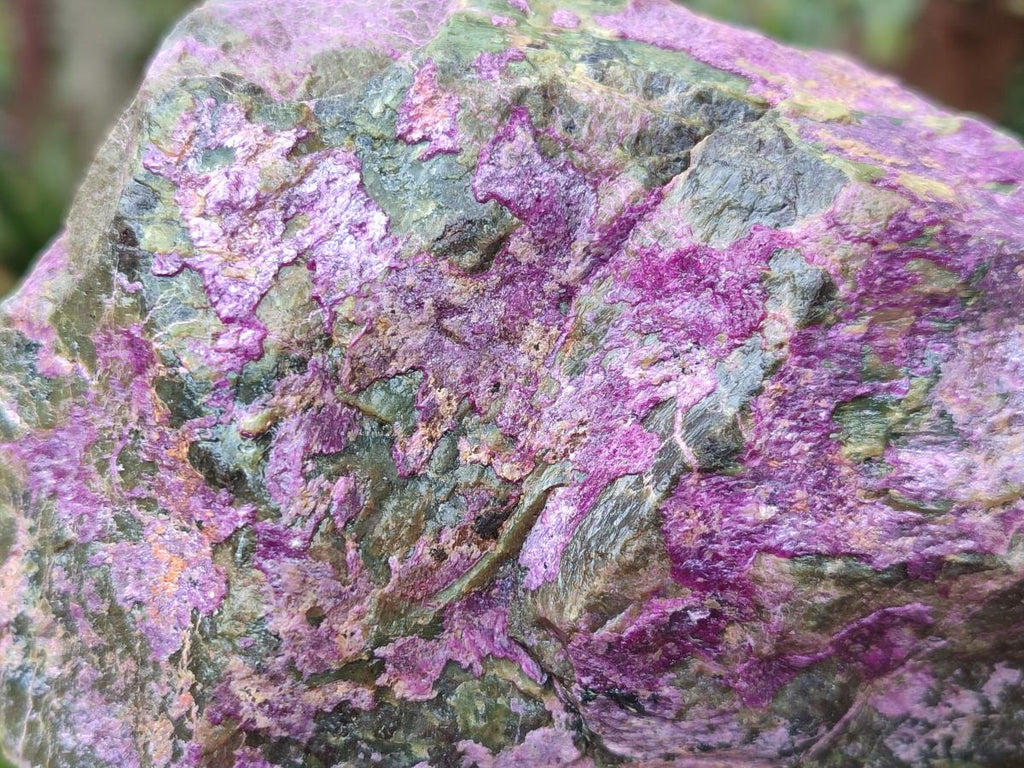 Natural Super Bright Purple and Green Rare Stichtite and Serpentine Specimen x 1 From Barberton, South Africa