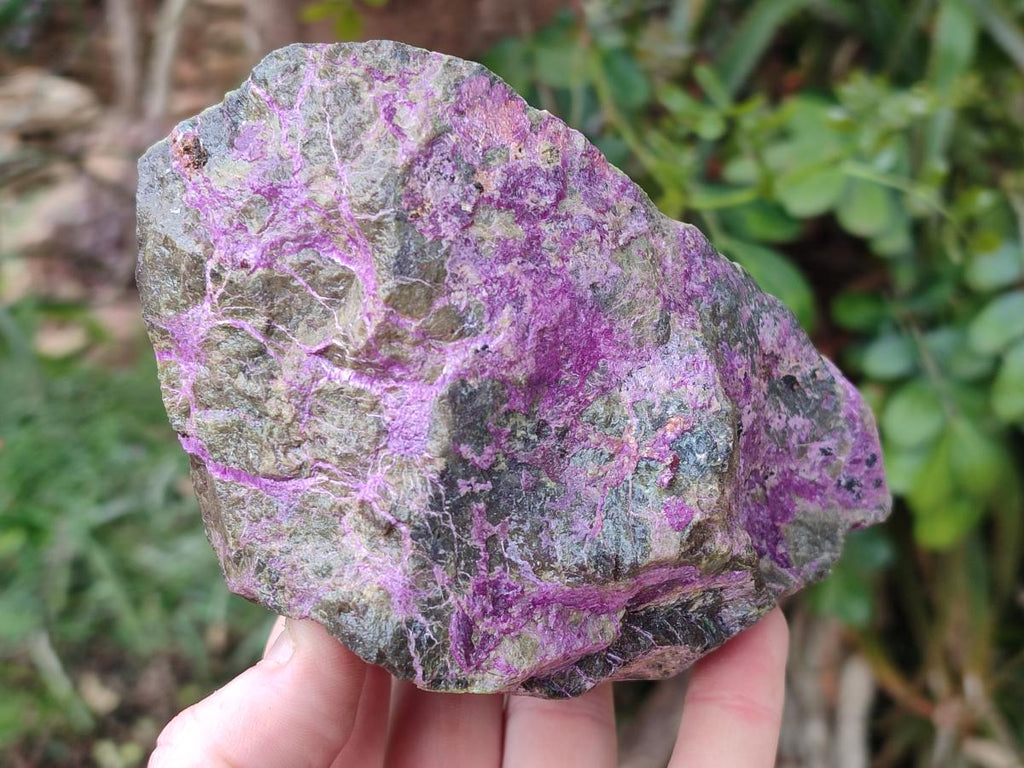 Natural Super Bright Purple and Green Rare Stichtite and Serpentine Specimen x 1 From Barberton, South Africa