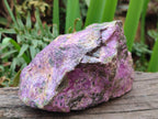 Natural Super Bright Purple and Green Rare Stichtite and Serpentine Specimen x 1 From Barberton, South Africa