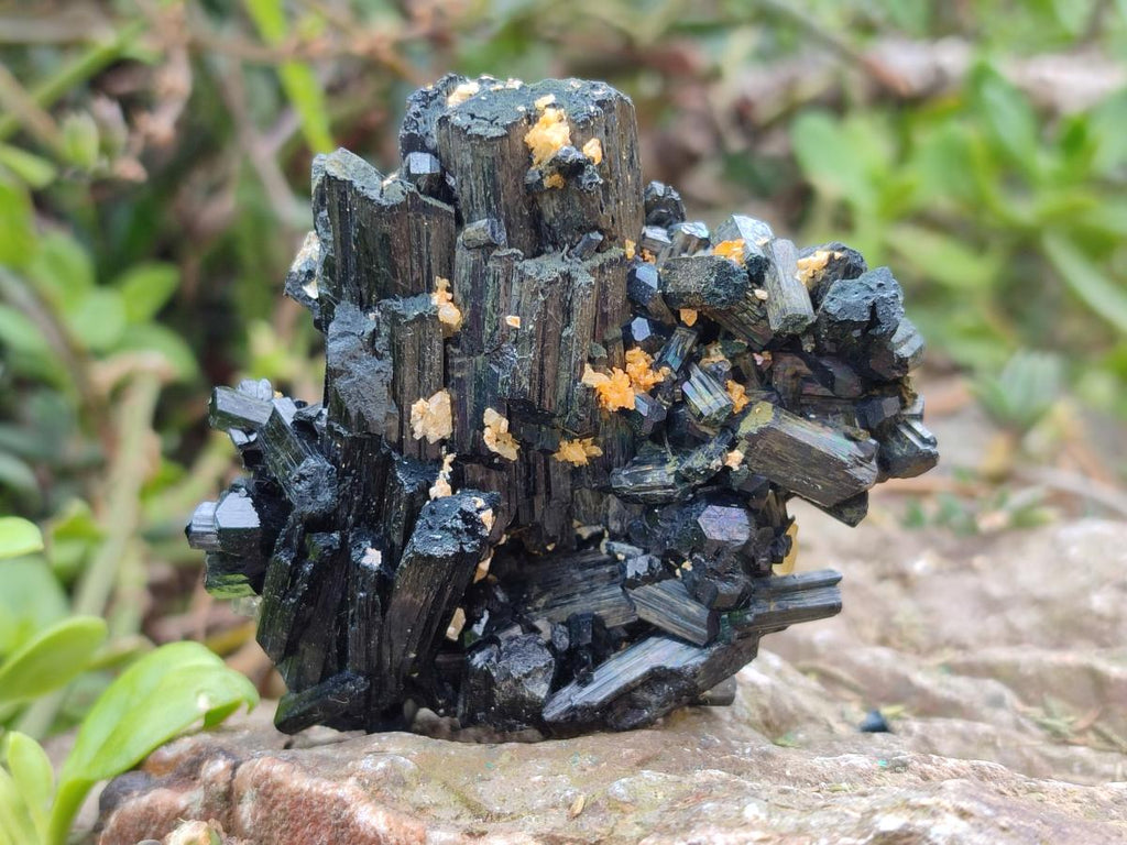 Natural Mixed Set of 6 African Mineral Specimens in a Wooden Display Box x 1 From Southern Africa