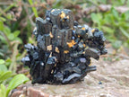 Natural Mixed Set of 6 African Mineral Specimens in a Wooden Display Box x 1 From Southern Africa