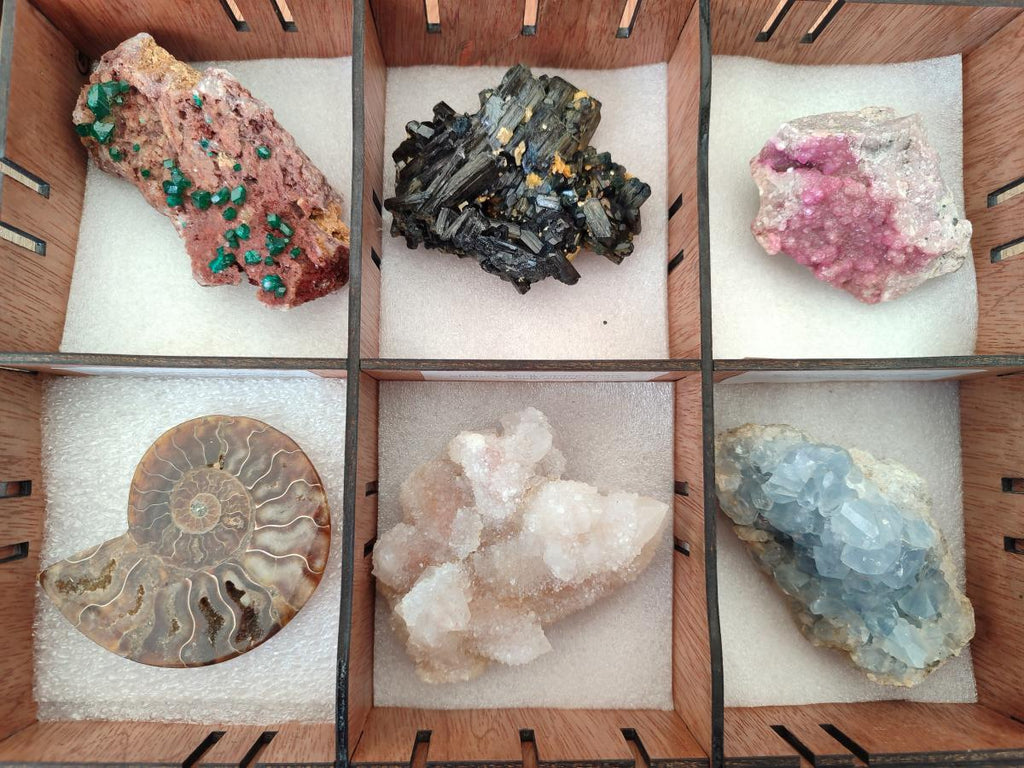 Natural Mixed Set of 6 African Mineral Specimens in a Wooden Display Box x 1 From Southern Africa