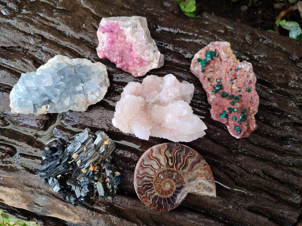 Natural Mixed Set of 6 African Mineral Specimens in a Wooden Display Box x 1 From Southern Africa