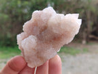 Natural Mixed Set of 6 African Mineral Specimens in a Wooden Display Box x 1 From Southern Africa
