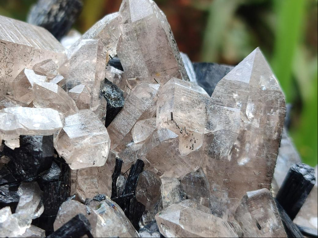 Natural Erongo Schorl Black Tourmaline and Smoky Quartz Specimen x 1 From Erongo Mountain, Namibia