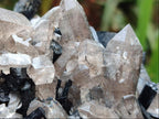 Natural Erongo Schorl Black Tourmaline and Smoky Quartz Specimen x 1 From Erongo Mountain, Namibia