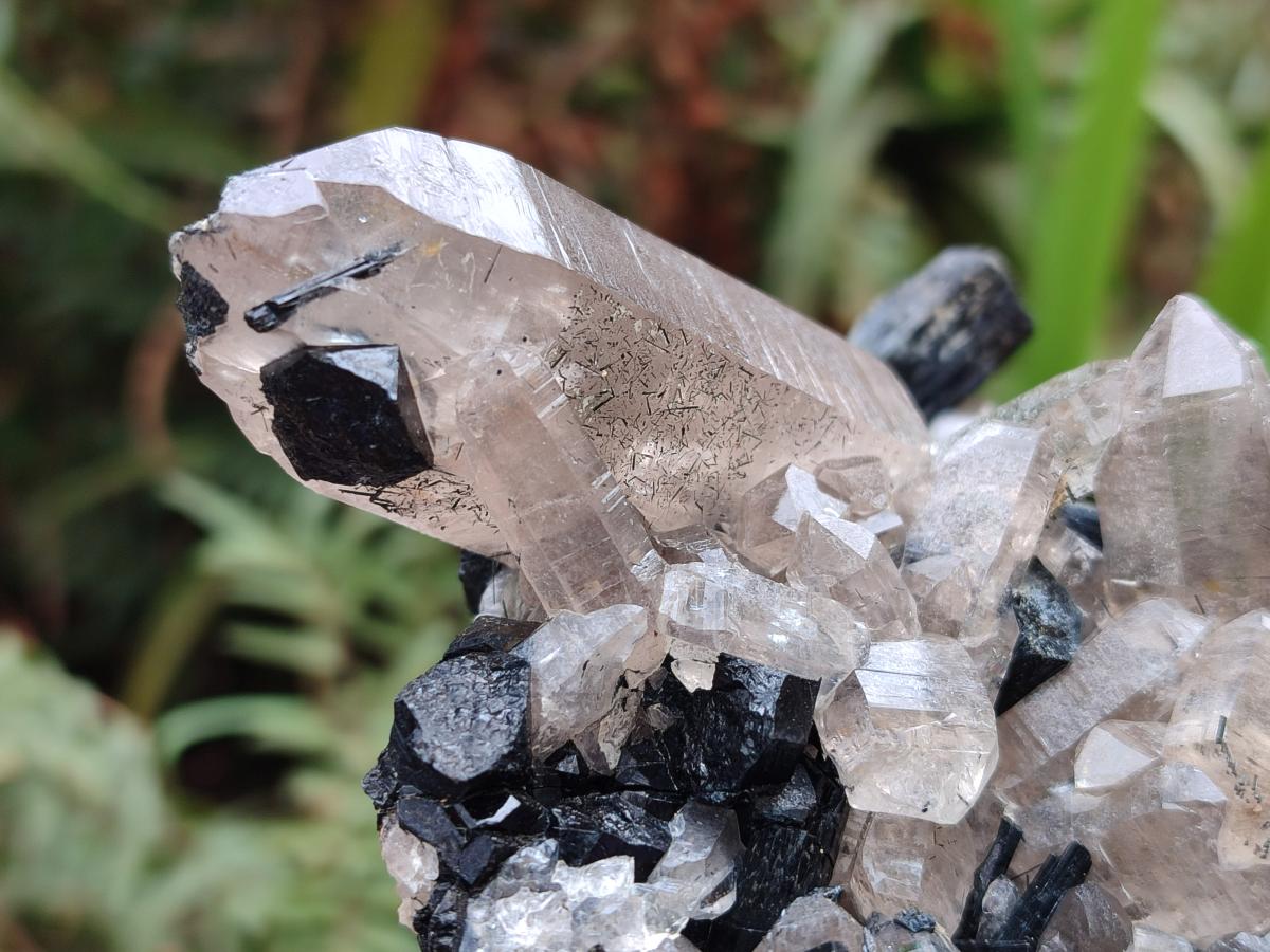 Natural Erongo Schorl Black Tourmaline and Smoky Quartz Specimen x 1 From Erongo Mountain, Namibia