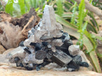 Natural Erongo Schorl Black Tourmaline and Smoky Quartz Specimen x 1 From Erongo Mountain, Namibia