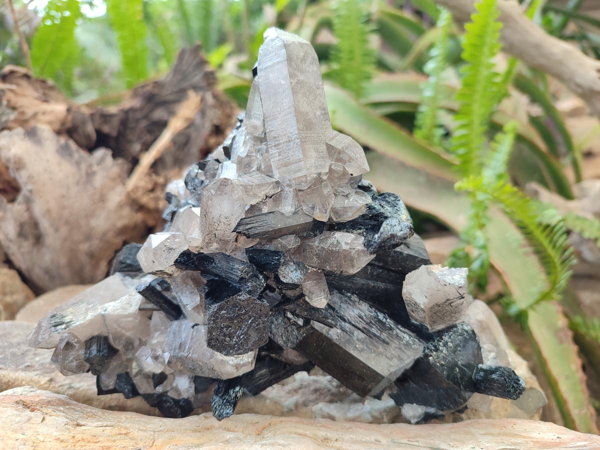 Natural Erongo Schorl Black Tourmaline and Smoky Quartz Specimen x 1 From Erongo Mountain, Namibia