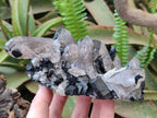 Natural Erongo Schorl Black Tourmaline and Smoky Quartz Specimen x 1 From Erongo Mountain, Namibia