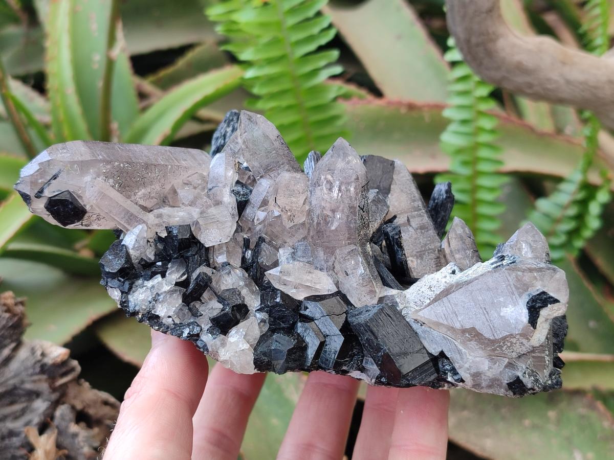 Natural Erongo Schorl Black Tourmaline and Smoky Quartz Specimen x 1 From Erongo Mountain, Namibia