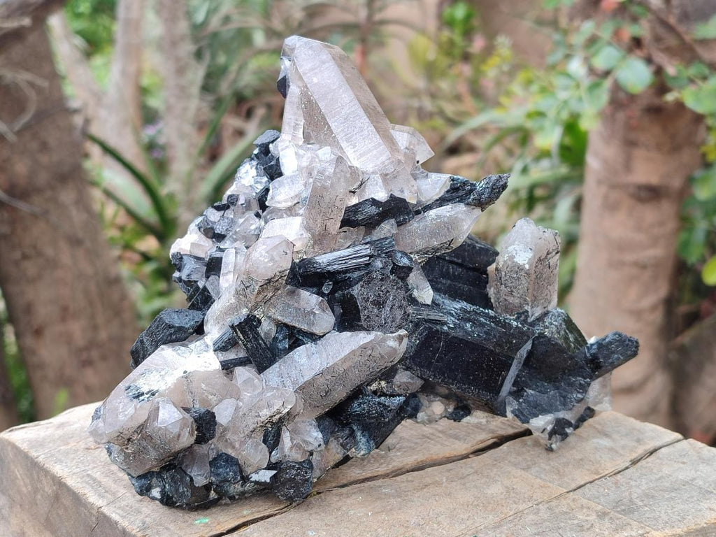 Natural Erongo Schorl Black Tourmaline and Smoky Quartz Specimen x 1 From Erongo Mountain, Namibia