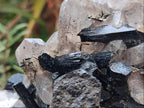 Natural Erongo Schorl Black Tourmaline and Smoky Quartz Specimen x 1 From Erongo Mountain, Namibia