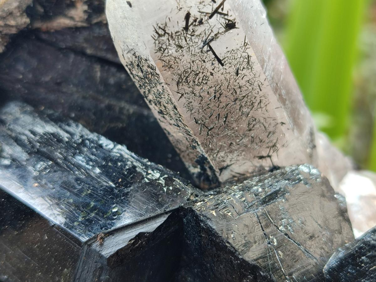 Natural Erongo Schorl Black Tourmaline and Smoky Quartz Specimen x 1 From Erongo Mountain, Namibia