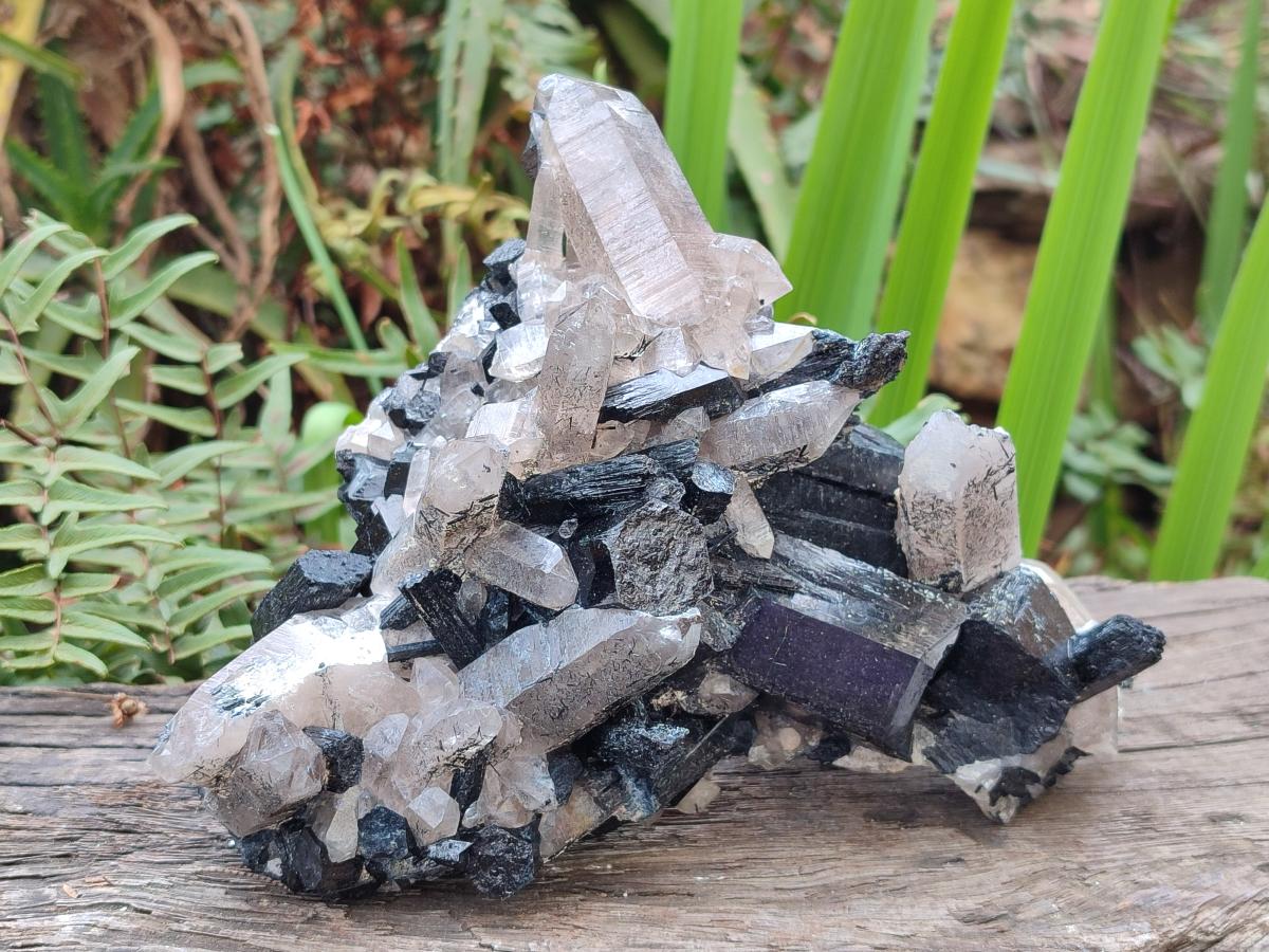Natural Erongo Schorl Black Tourmaline and Smoky Quartz Specimen x 1 From Erongo Mountain, Namibia